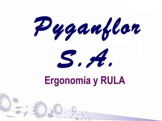 Pyganflor 
S.A. 
Ergonomía y RULA 
 
