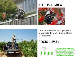 ICARUS + GREA 
Utilització de naus no tripulades o 
informació de satèl·lit per millorar 
la producció 
POCIO (UMA) 
satèl·lit 
 