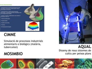ICARUS 
POCI 
O 
CIMNE 
Simulació de processos industrials 
alimentaris o biològics (malària, 
tuberculosi) AQUAL 
GI 
R 
O 
MOSIMBIO 
Disseny de nous sistemes de 
cultiu per peixos plans 
 