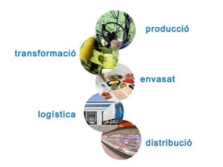 producció 
transformació 
envasat 
logística 
distribució 
 