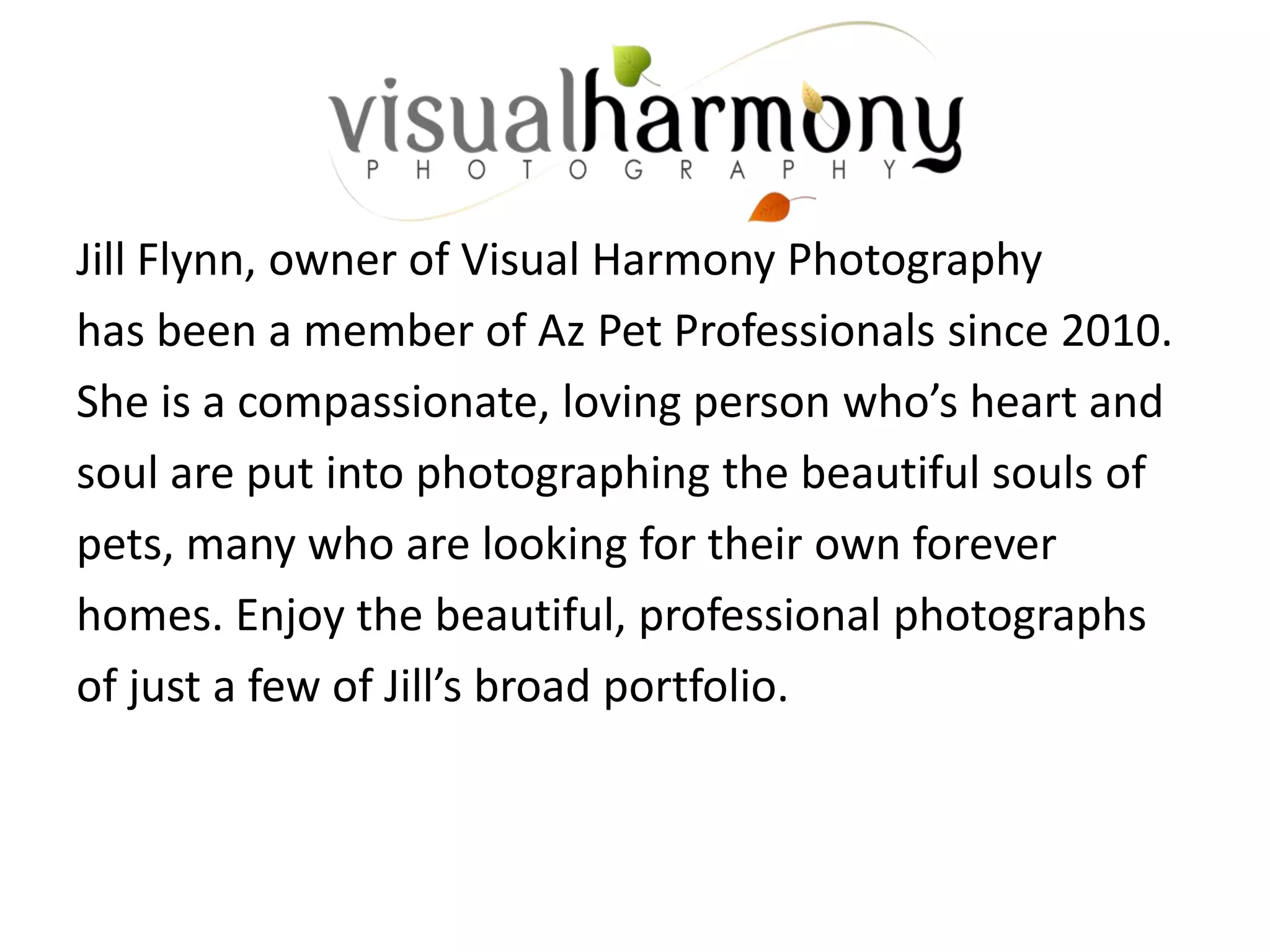 Jill Flynn, owner of Visual Harmony Photography
has been a member of Az Pet Professionals since 2010.
She is a compassionate, loving person who’s heart and
soul are put into photographing the beautiful souls of
pets, many who are looking for their own forever
homes. Enjoy the beautiful, professional photographs
of just a few of Jill’s broad portfolio.