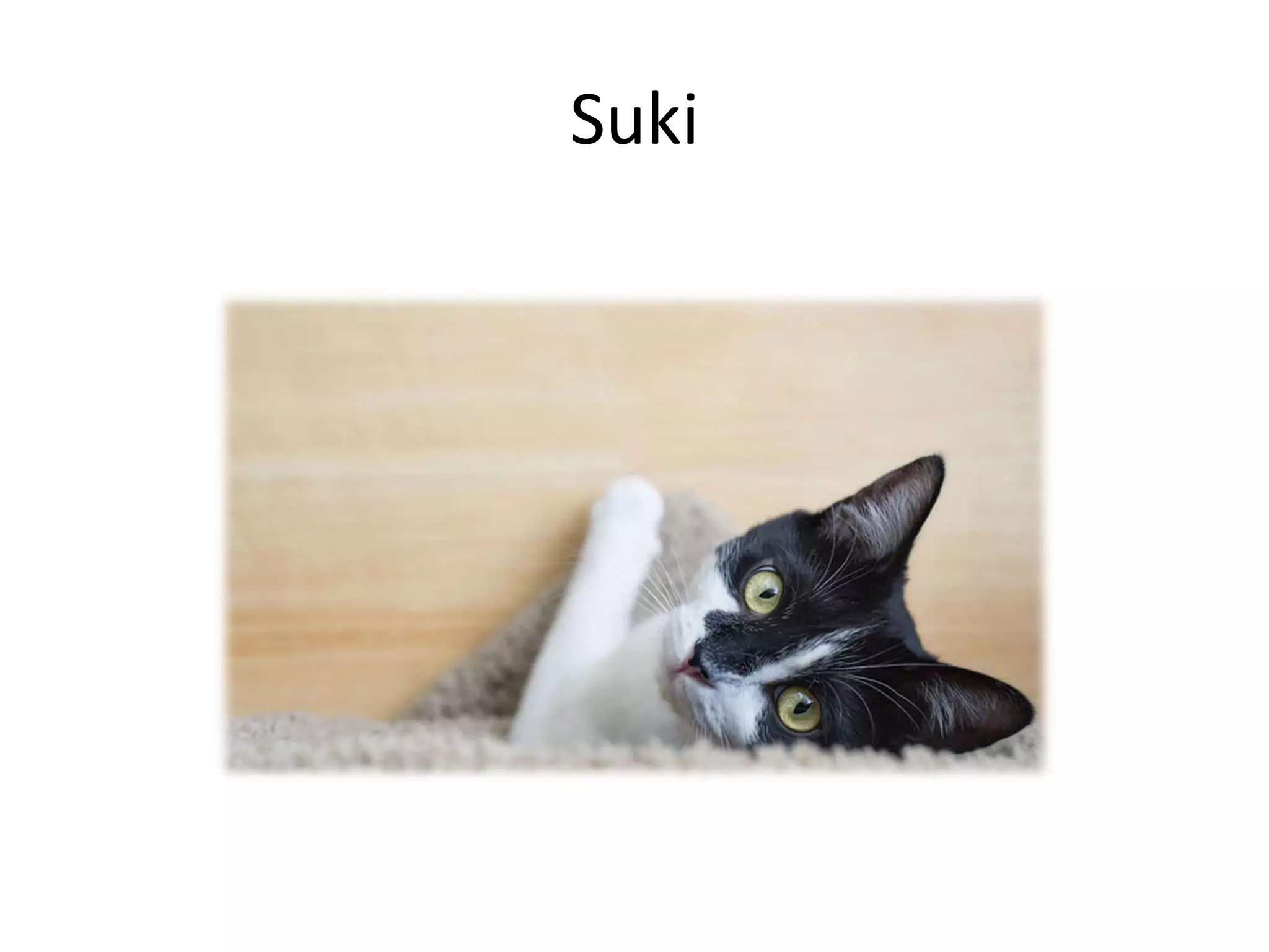 Suki