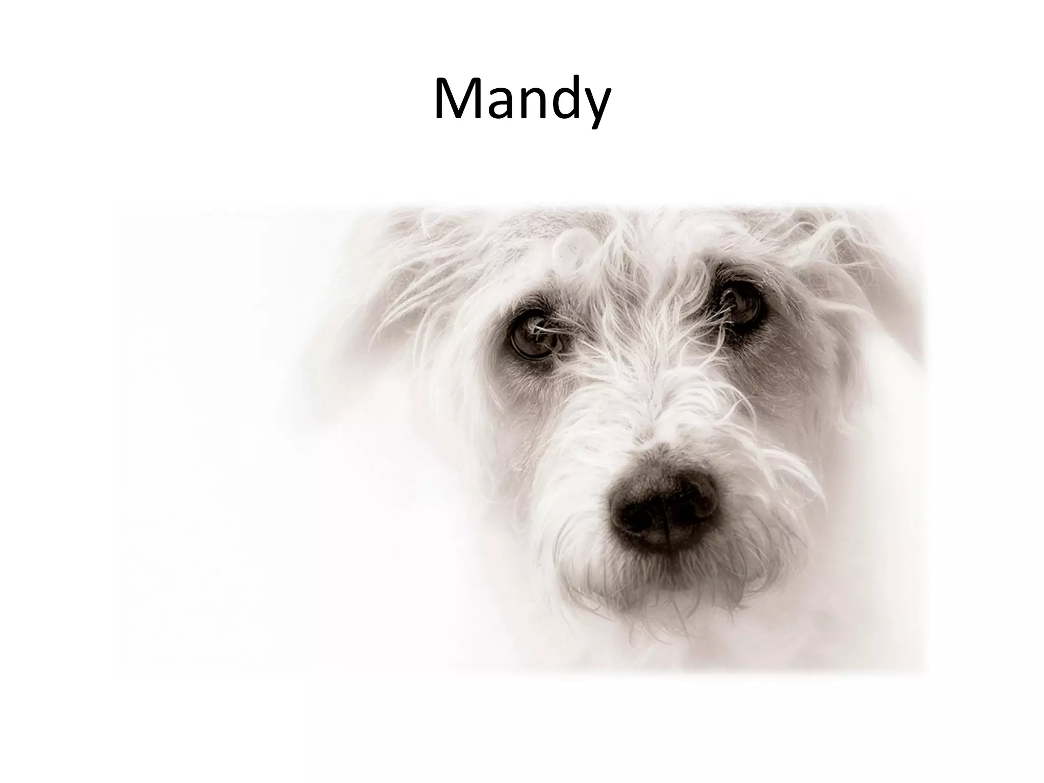 Mandy
