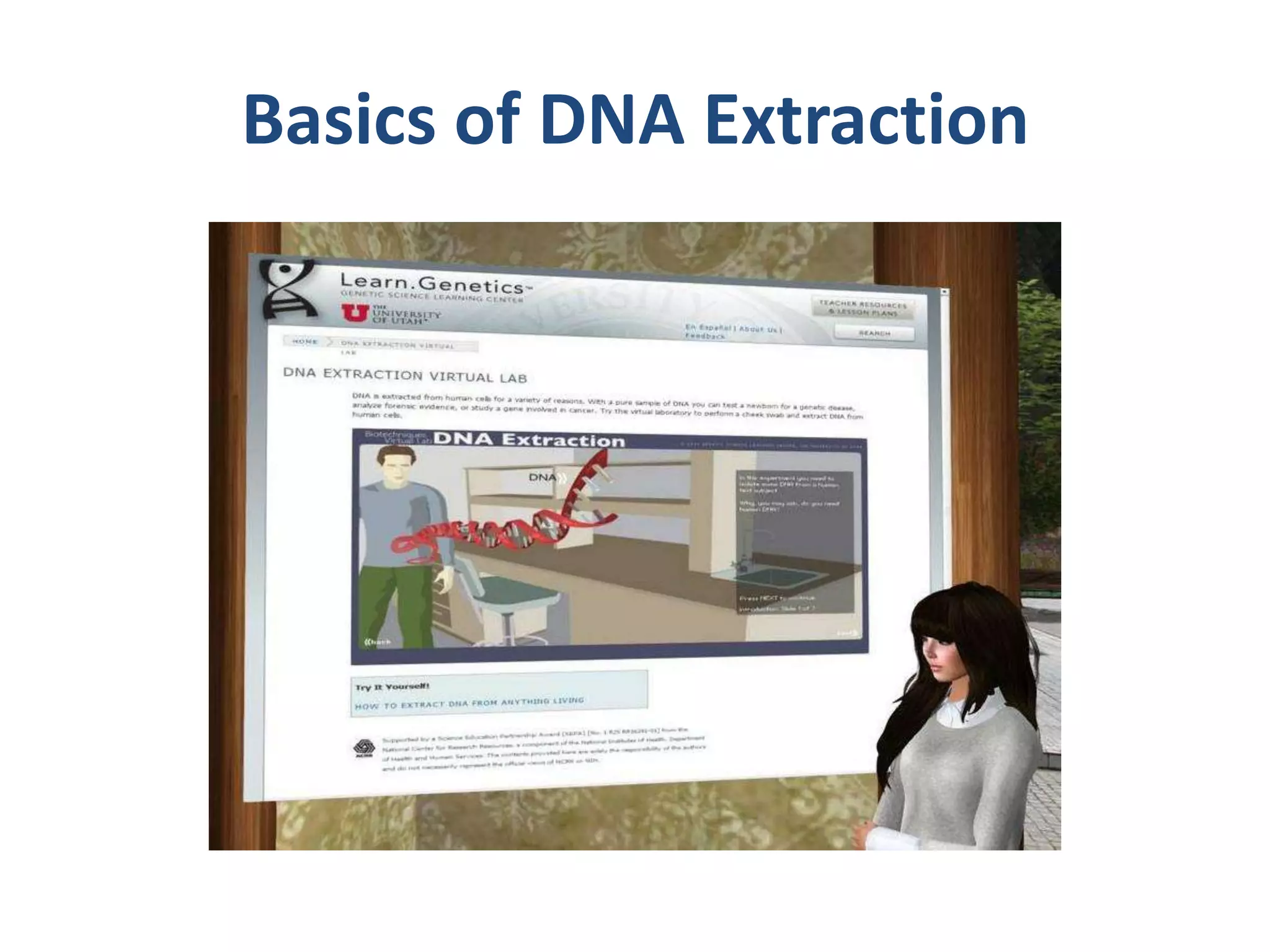 Basics of DNA Extraction

 