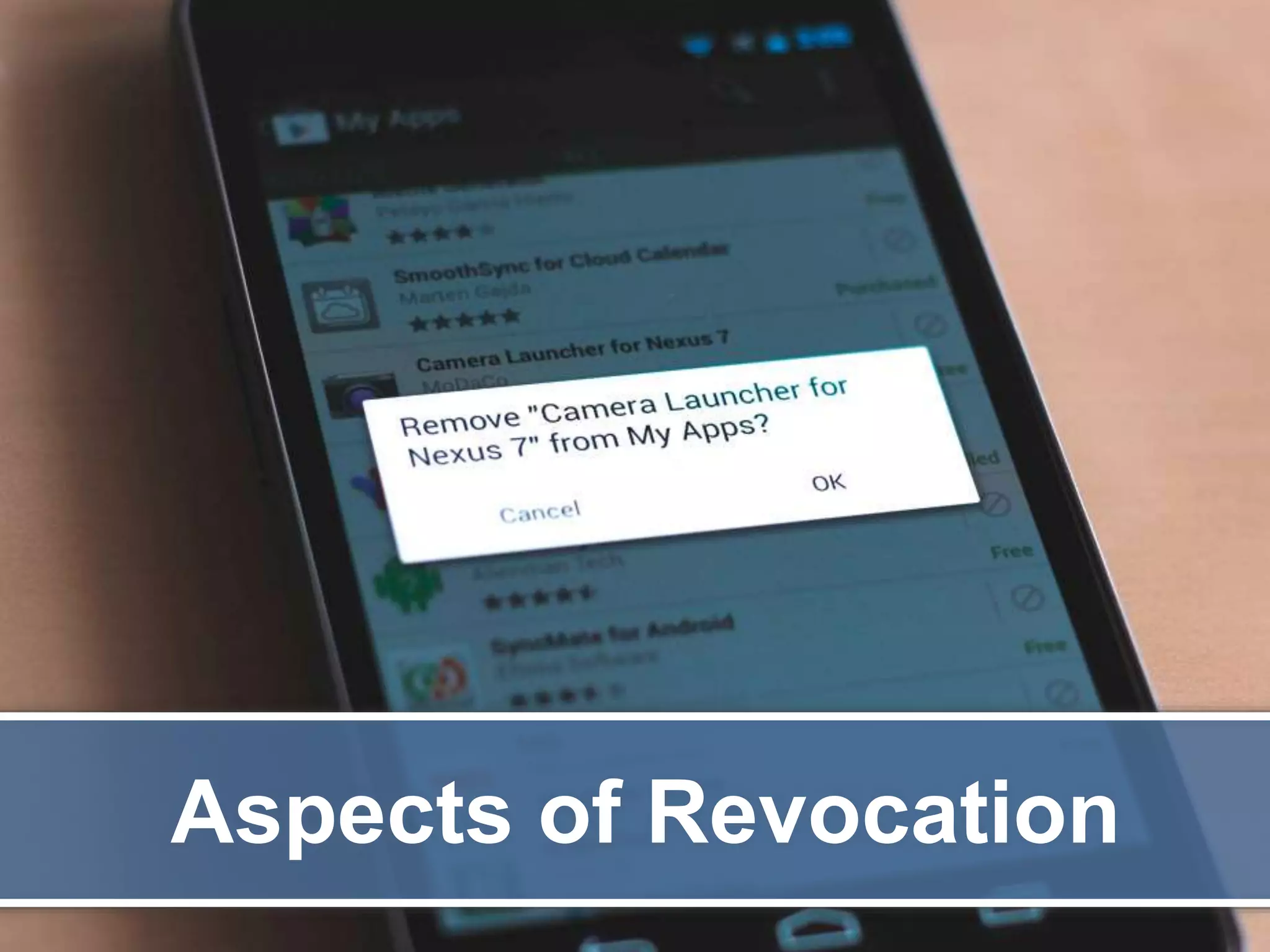 Aspects of Revocation 