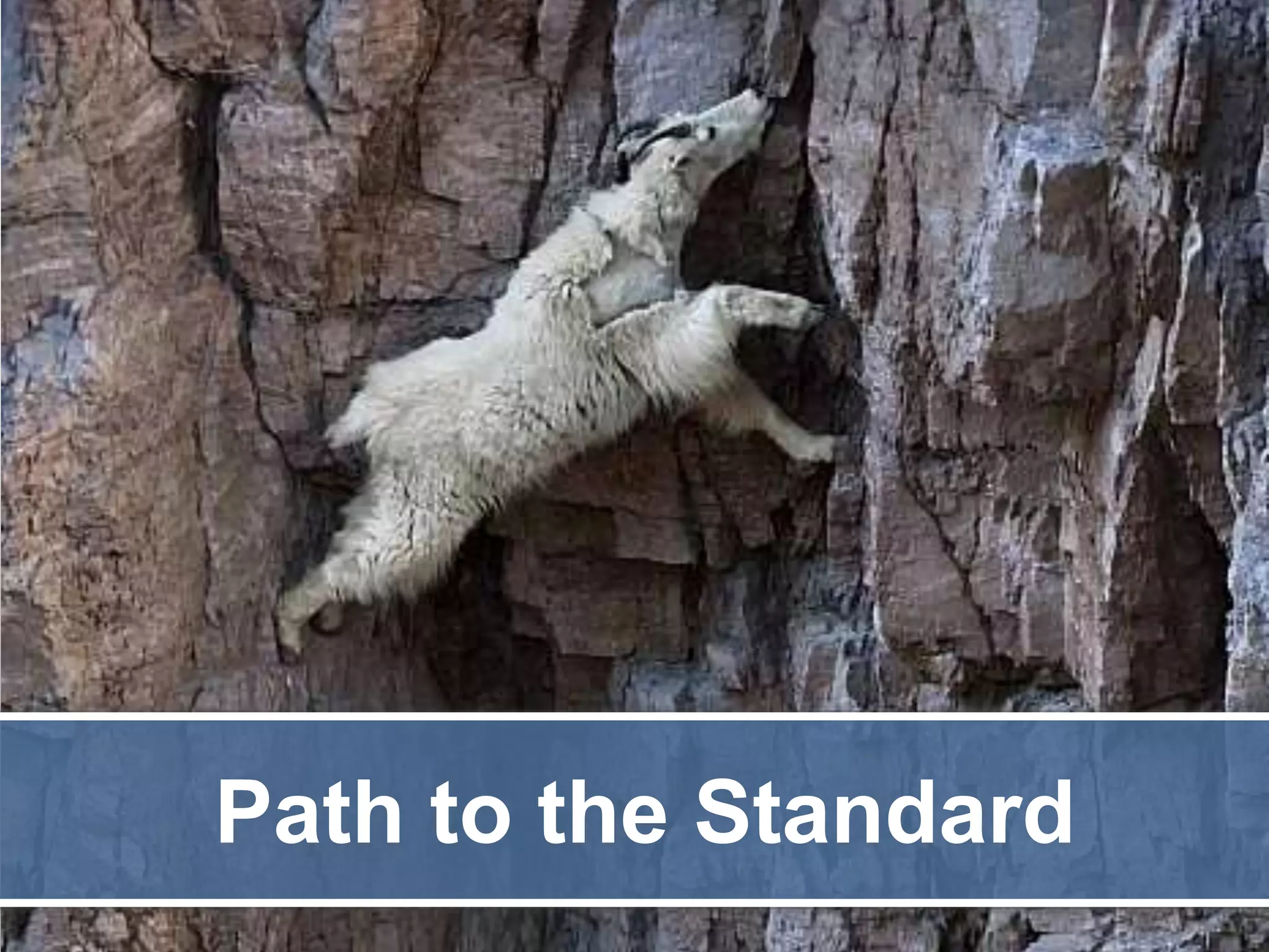 Path to the Standard 