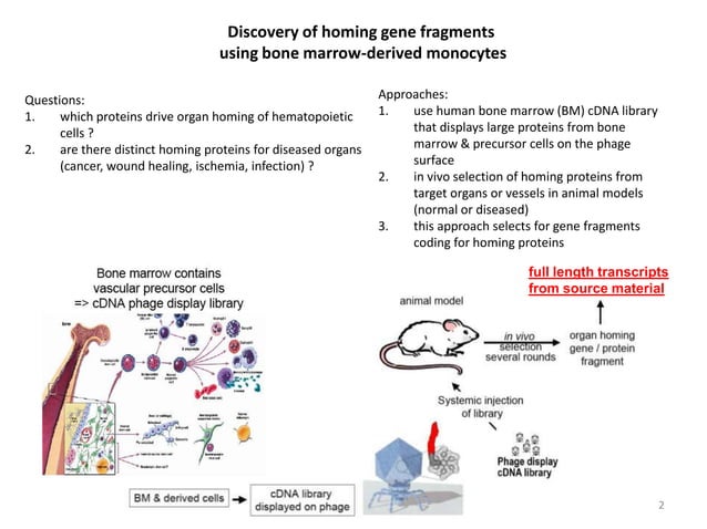 RNA Sequencing for Full Length Transcript Discovery | PPT