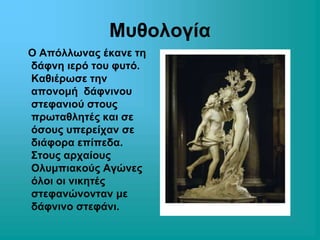 Μυθολογία 
Ο Απόλλωνας έκανε τη 
δάφνη ιερό του φυτό. 
Καθιέρωσε την 
απονομή δάφνινου 
στεφανιού στους 
πρωταθλητές και σε 
όσους υπερείχαν σε 
διάφορα επίπεδα. 
Στους αρχαίους 
Ολυμπιακούς Αγώνες 
όλοι οι νικητές 
στεφανώνονταν με 
δάφνινο στεφάνι. 
 