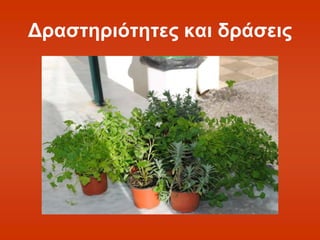 Δραστηριότητες και δράσεις 
 