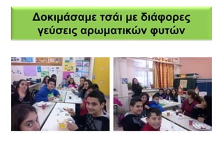 Δοκιμάσαμε τσάι με διάφορες 
γεύσεις αρωματικών φυτών 
 