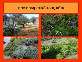 στον αρωματικό τους κήπο 
 