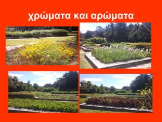 χρώματα και αρώματα 
 