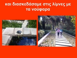 και διασκεδάσαμε στις λίμνες με 
τα νούφαρα 
 