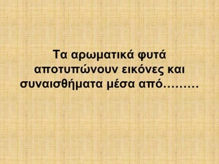 Τα αρωματικά φυτά 
αποτυπώνουν εικόνες και 
συναισθήματα μέσα από……… 
 