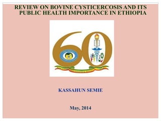 REVIEW ON BOVINE CYSTICERCOSIS AND ITS
PUBLIC HEALTH IMPORTANCE IN ETHIOPIA
By
KASSAHUN SEMIE
May, 2014
 