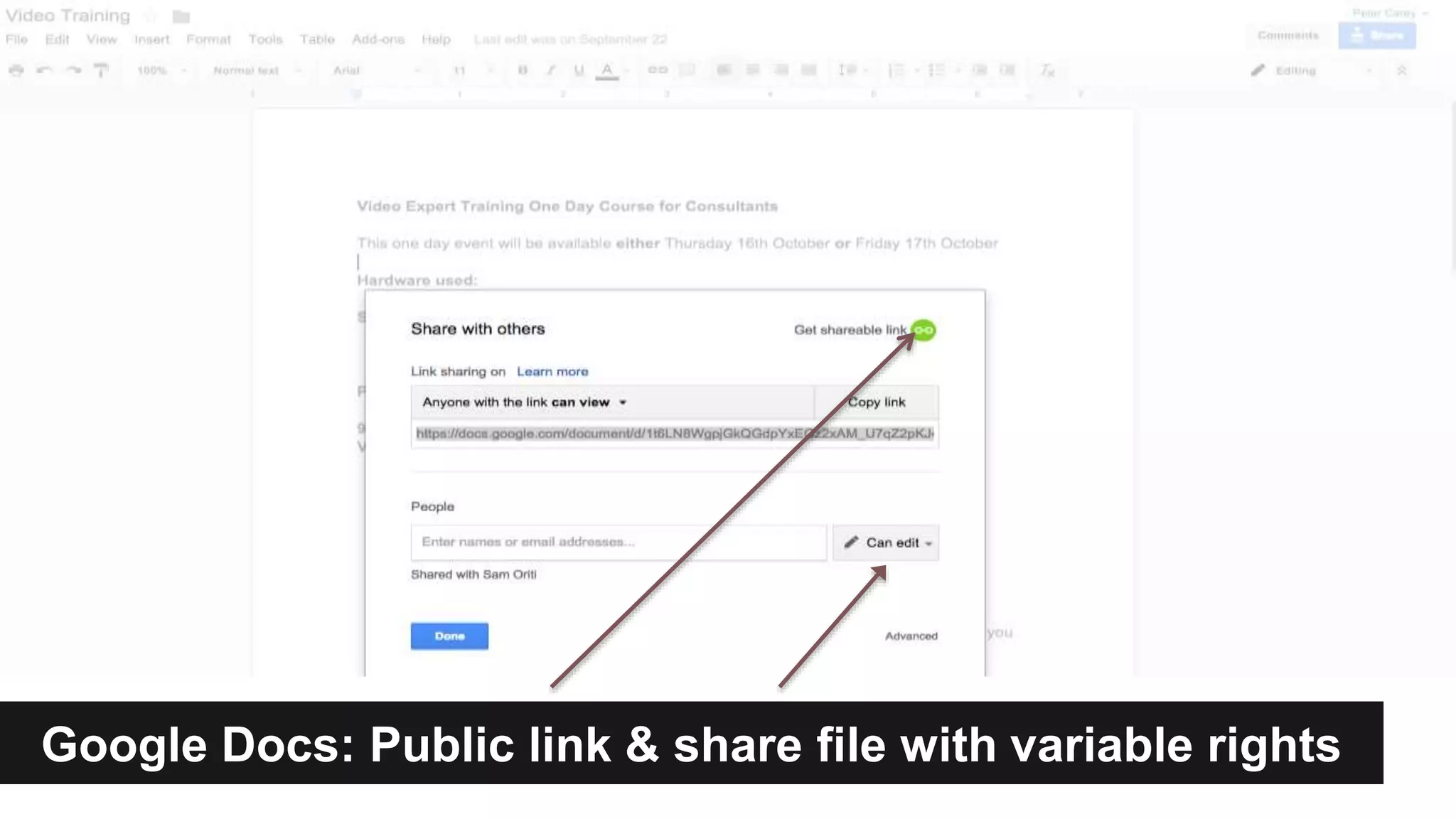Google Docs: Public link & share file with variable rights 
 