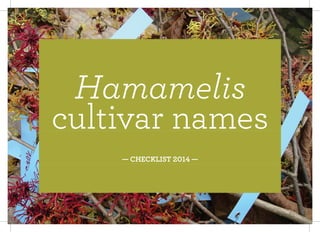 Hamamelis
cultivar names
— CHECKLIST 2014 —
 