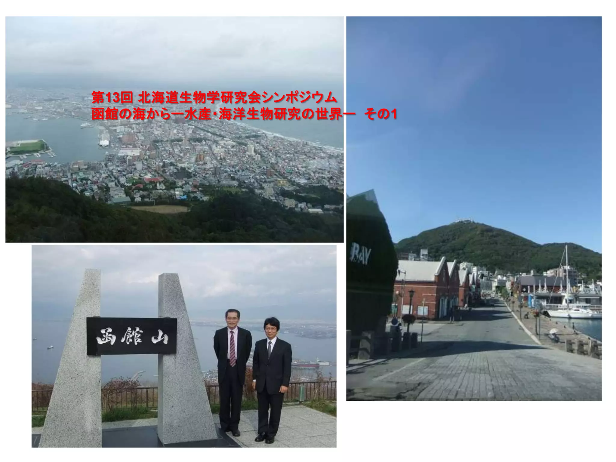 56
第13回 北海道生物学研究会シンポジウム
函館の海からー水産・海洋生物研究の世界ー その1
 