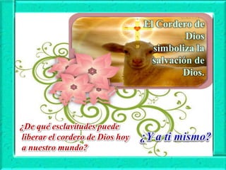 El Cordero de
Dios
simboliza la
salvación de
Dios.

¿De qué esclavitudes puede
liberar el cordero de Dios hoy
a nuestro mundo?

 