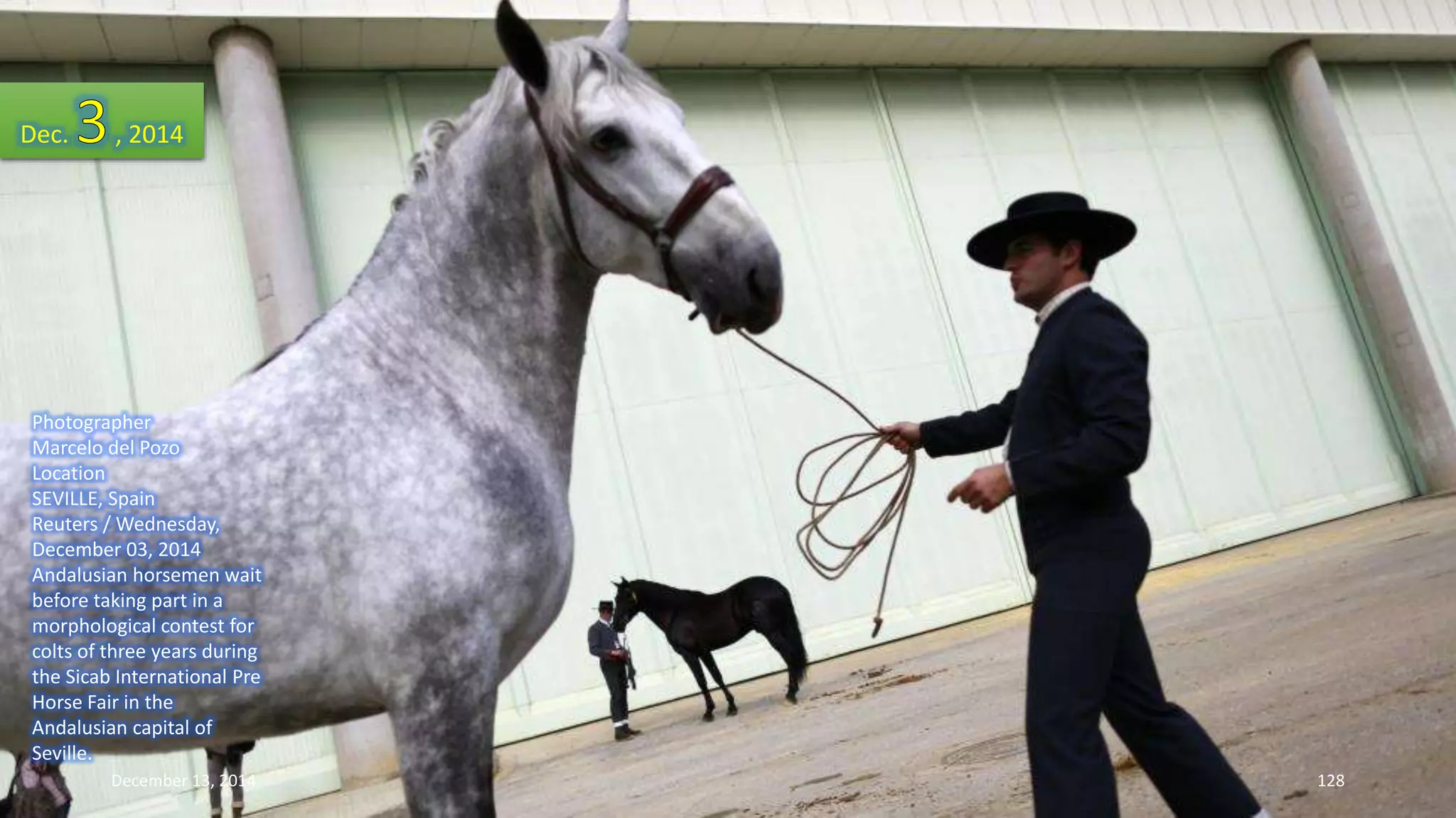 Dec. , 2014 
Photographer 
Marcelo del Pozo 
Location 
SEVILLE, Spain 
Reuters / Wednesday, 
December 03, 2014 
Andalusian horsemen wait 
before taking part in a 
morphological contest for 
colts of three years during 
the Sicab International Pre 
Horse Fair in the 
Andalusian capital of 
Seville. 
December 13, 2014 128 
 