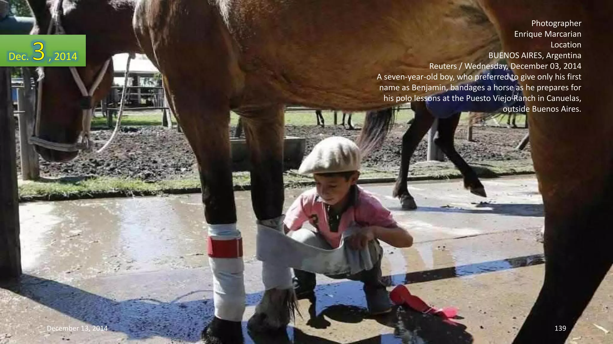 Photographer 
Enrique Marcarian 
Location 
BUENOS AIRES, Argentina 
Reuters / Wednesday, December 03, 2014 
A seven-year-old boy, who preferred to give only his first 
name as Benjamin, bandages a horse as he prepares for 
his polo lessons at the Puesto Viejo Ranch in Canuelas, 
outside Buenos Aires. 
Dec. , 2014 
December 13, 2014 139 
 
