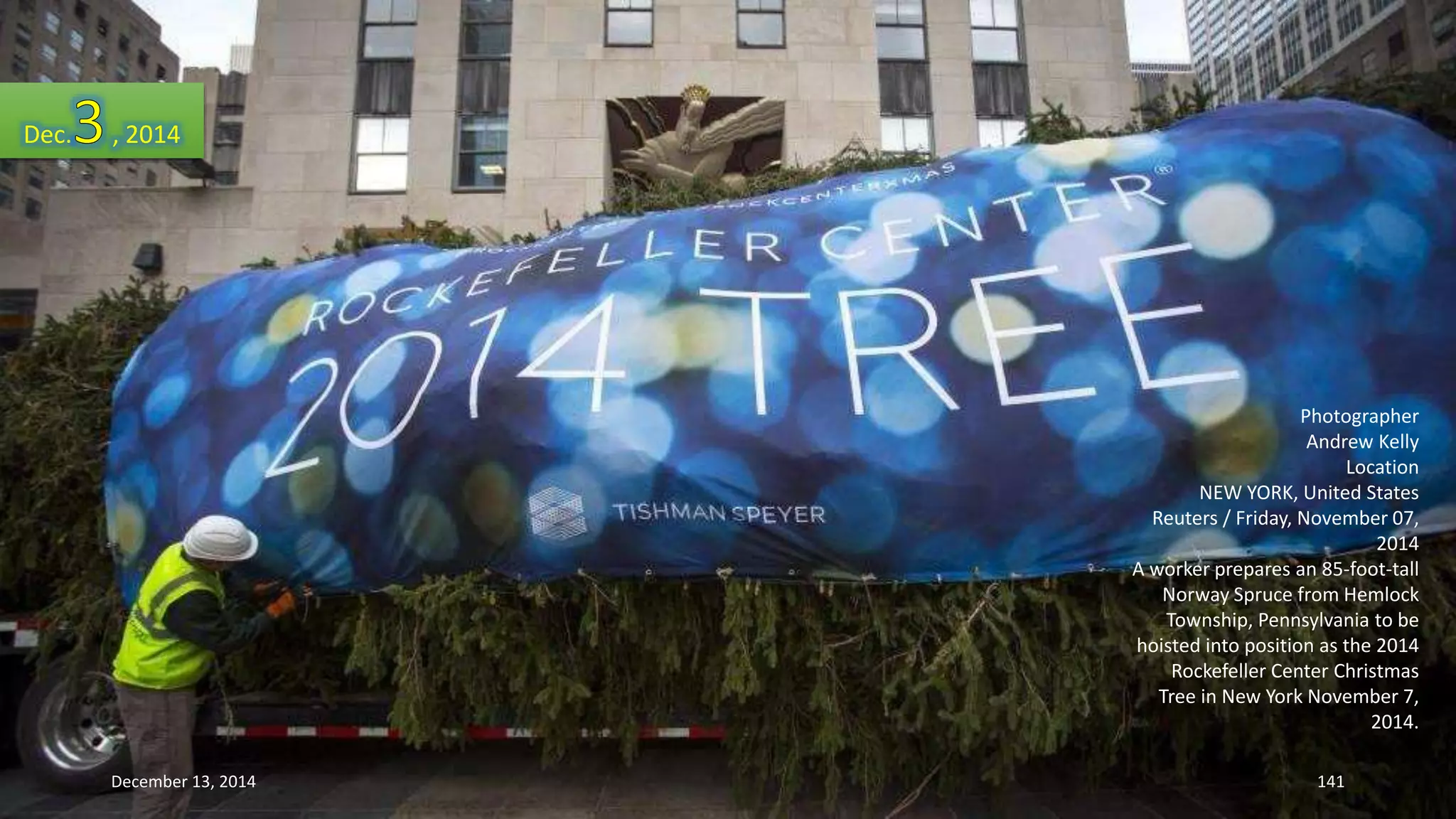Photographer 
Andrew Kelly 
Location 
NEW YORK, United States 
Reuters / Friday, November 07, 
2014 
A worker prepares an 85-foot-tall 
Norway Spruce from Hemlock 
Township, Pennsylvania to be 
hoisted into position as the 2014 
Rockefeller Center Christmas 
Tree in New York November 7, 
2014. 
Dec. , 2014 
December 13, 2014 141 
 
