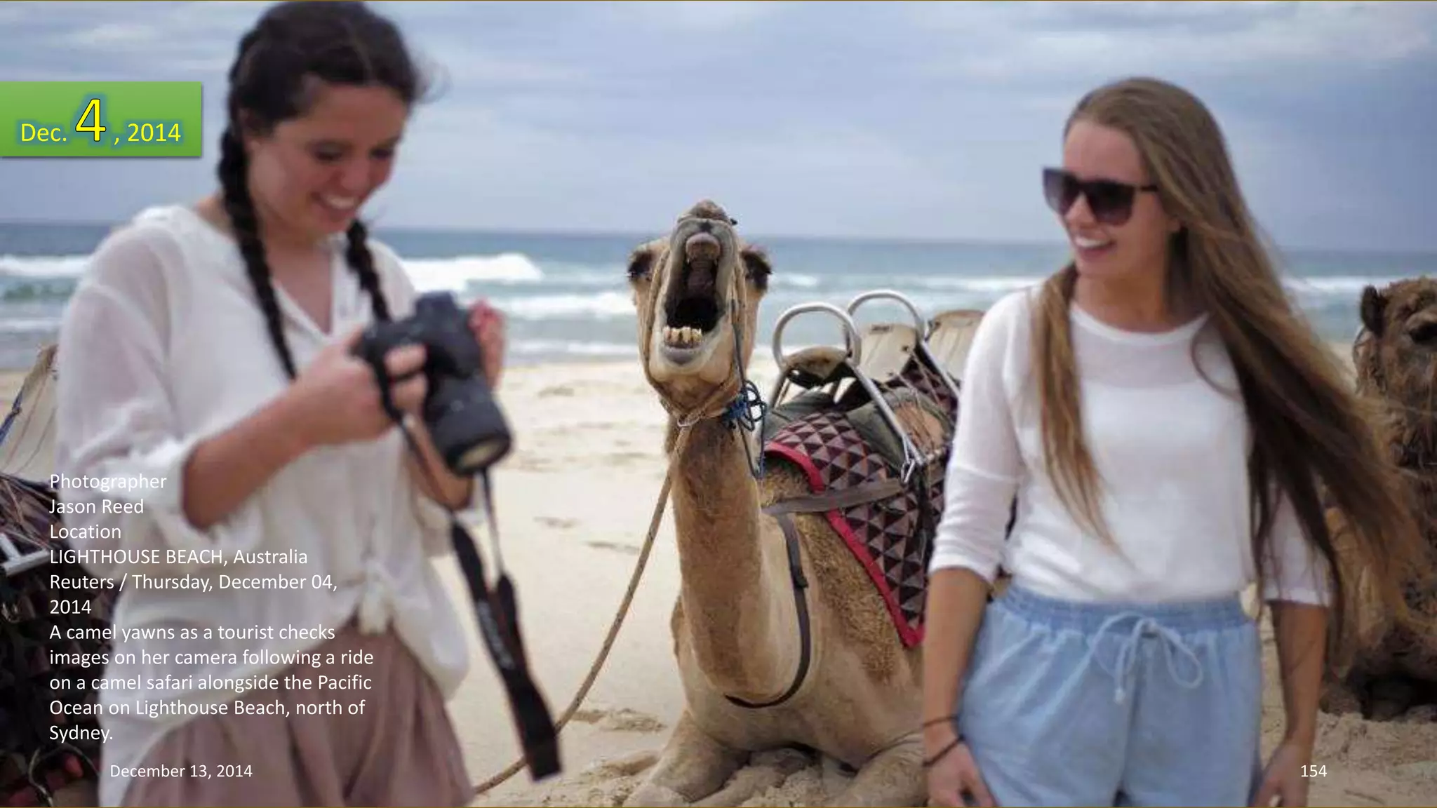 Dec. , 2014 
Photographer 
Jason Reed 
Location 
LIGHTHOUSE BEACH, Australia 
Reuters / Thursday, December 04, 
2014 
A camel yawns as a tourist checks 
images on her camera following a ride 
on a camel safari alongside the Pacific 
Ocean on Lighthouse Beach, north of 
Sydney. 
December 13, 2014 154 
 