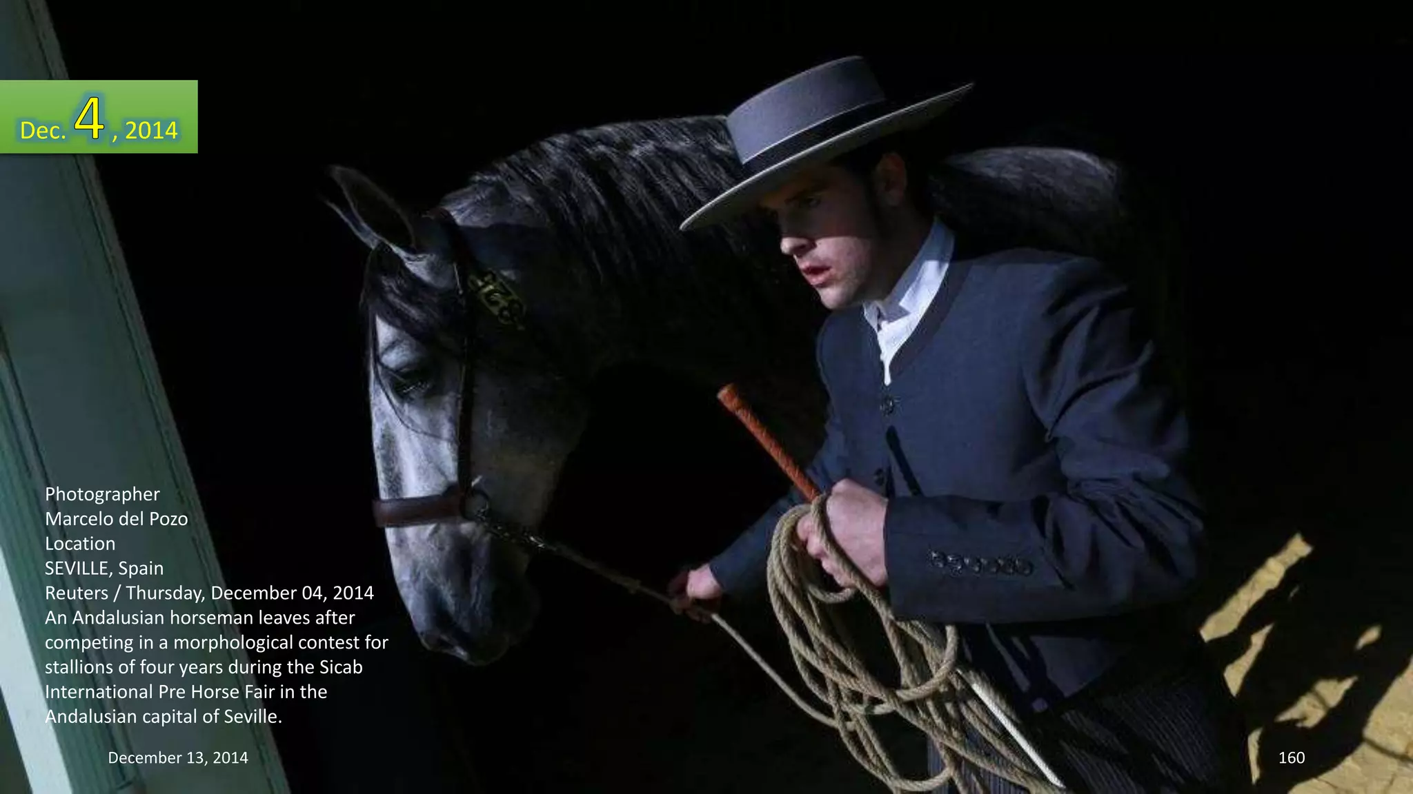 Dec. , 2014 
Photographer 
Marcelo del Pozo 
Location 
SEVILLE, Spain 
Reuters / Thursday, December 04, 2014 
An Andalusian horseman leaves after 
competing in a morphological contest for 
stallions of four years during the Sicab 
International Pre Horse Fair in the 
Andalusian capital of Seville. 
December 13, 2014 160 
 