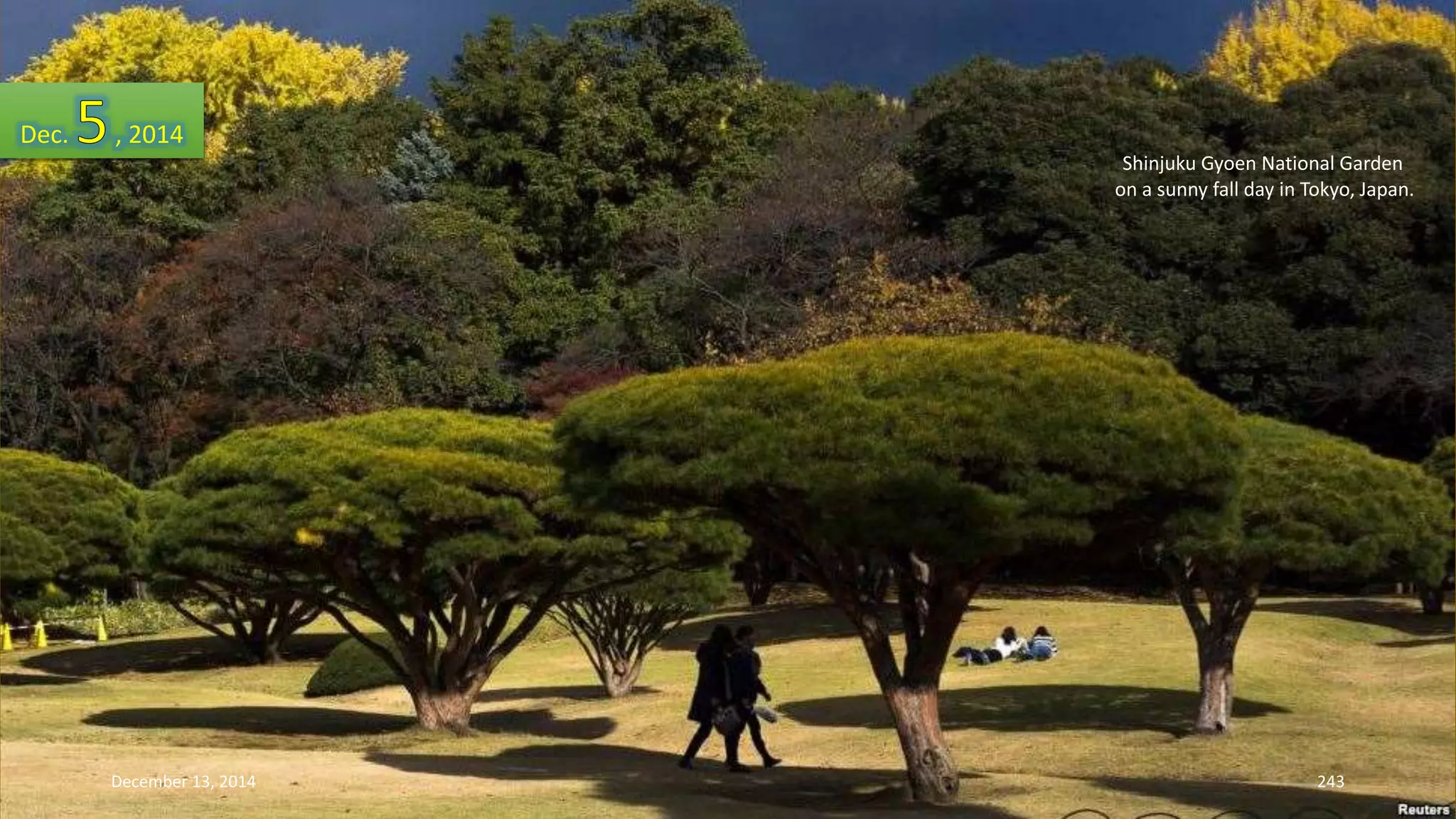 Shinjuku Gyoen National Garden 
on a sunny fall day in Tokyo, Japan. 
Dec. , 2014 
December 13, 2014 243 
 