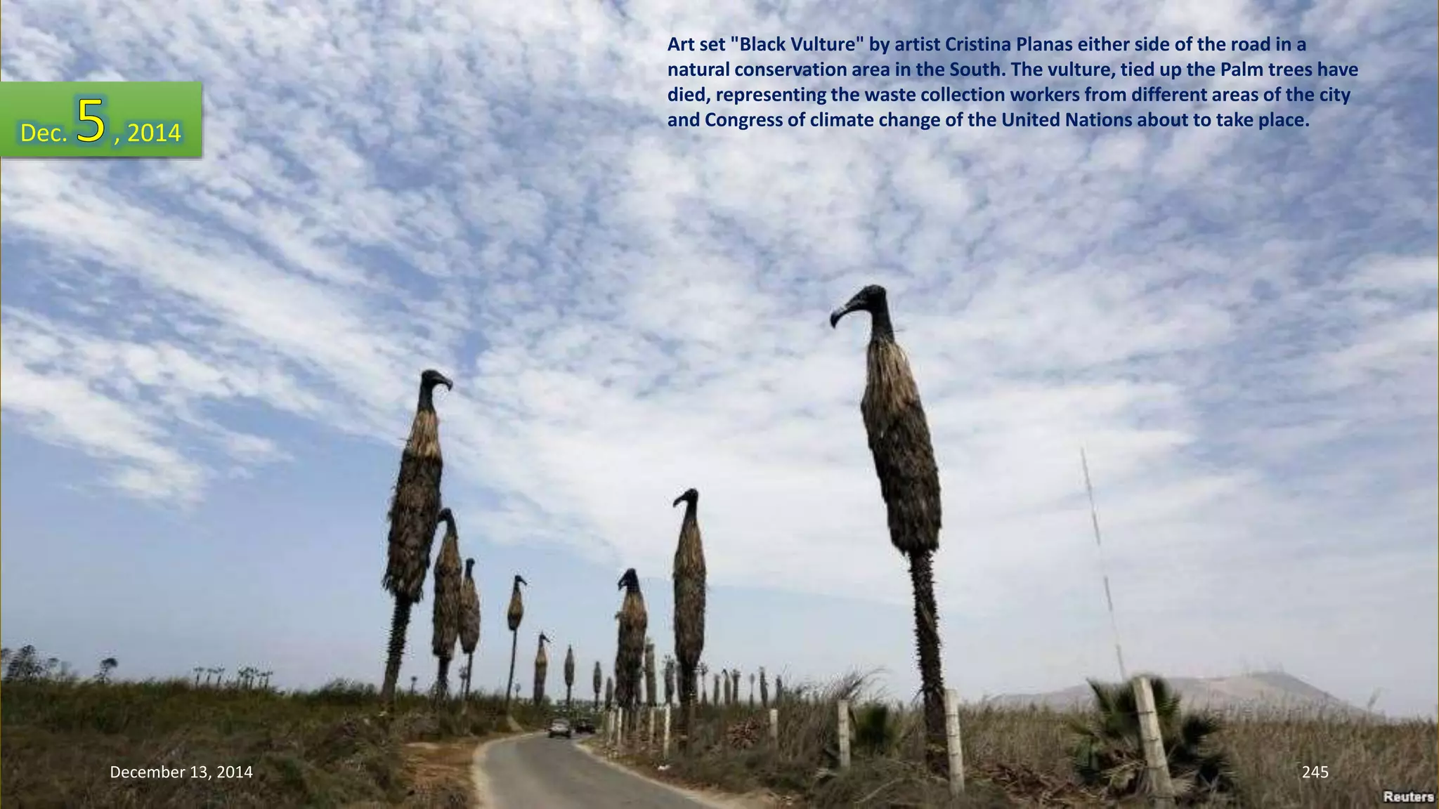 Art set "Black Vulture" by artist Cristina Planas either side of the road in a 
natural conservation area in the South. The vulture, tied up the Palm trees have 
died, representing the waste collection workers from different areas of the city 
and Congress of climate change of the United Nations about to take place. Dec. , 2014 
December 13, 2014 245 
 