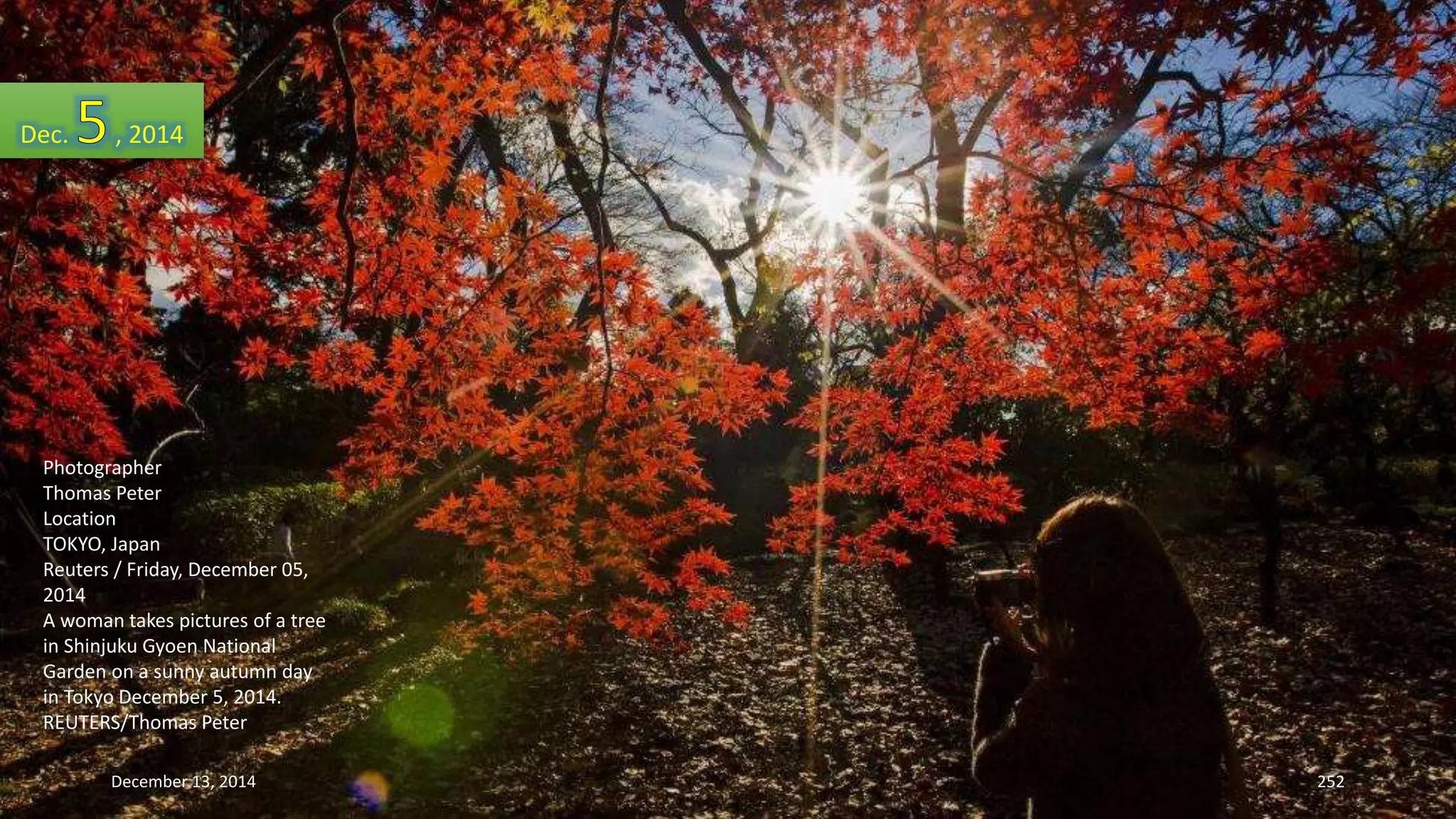Dec. , 2014 
Photographer 
Thomas Peter 
Location 
TOKYO, Japan 
Reuters / Friday, December 05, 
2014 
A woman takes pictures of a tree 
in Shinjuku Gyoen National 
Garden on a sunny autumn day 
in Tokyo December 5, 2014. 
REUTERS/Thomas Peter 
December 13, 2014 252 
 