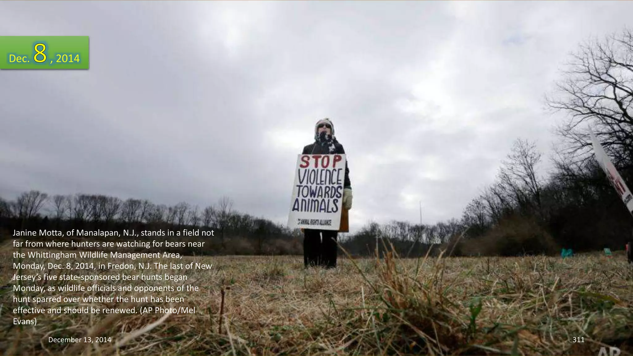 Dec. , 2014 
Janine Motta, of Manalapan, N.J., stands in a field not 
far from where hunters are watching for bears near 
the Whittingham Wildlife Management Area, 
Monday, Dec. 8, 2014, in Fredon, N.J. The last of New 
Jersey’s five state-sponsored bear hunts began 
Monday, as wildlife officials and opponents of the 
hunt sparred over whether the hunt has been 
effective and should be renewed. (AP Photo/Mel 
Evans) 
December 13, 2014 311 
 