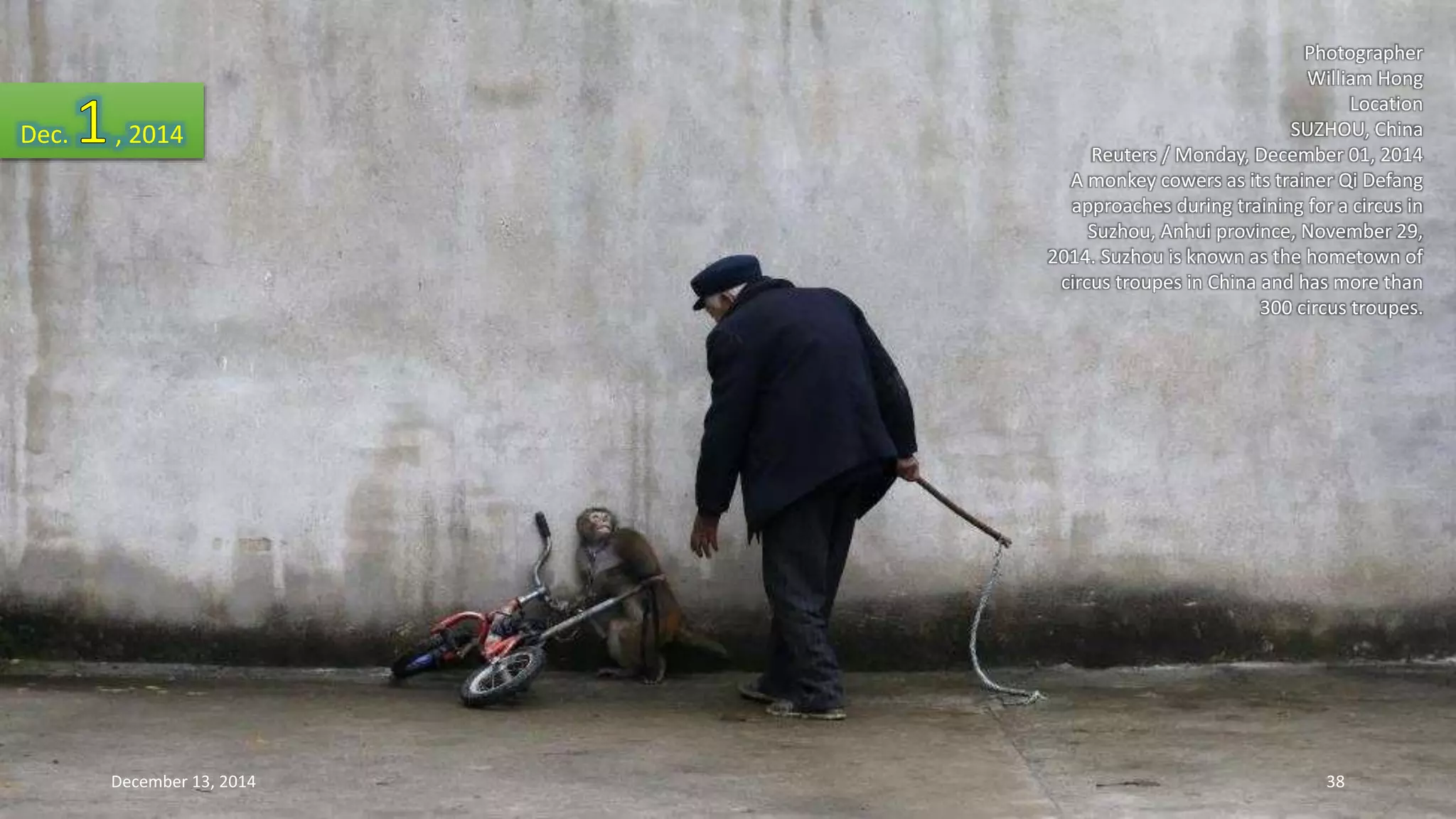 Photographer 
William Hong 
Location 
SUZHOU, China 
Reuters / Monday, December 01, 2014 
A monkey cowers as its trainer Qi Defang 
approaches during training for a circus in 
Suzhou, Anhui province, November 29, 
2014. Suzhou is known as the hometown of 
circus troupes in China and has more than 
300 circus troupes. 
Dec. , 2014 
December 13, 2014 38 
 
