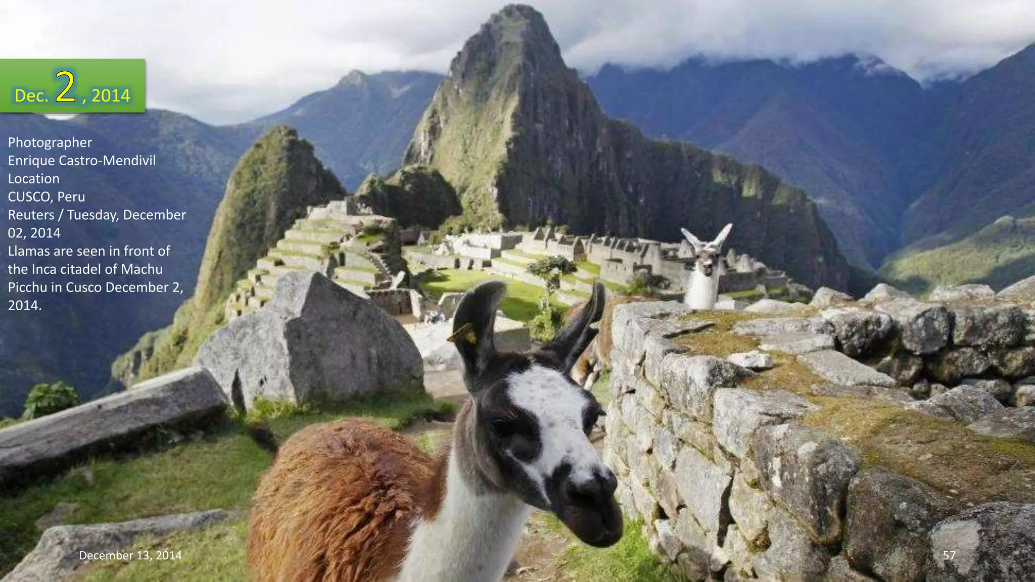 Dec. , 2014 
Photographer 
Enrique Castro-Mendivil 
Location 
CUSCO, Peru 
Reuters / Tuesday, December 
02, 2014 
Llamas are seen in front of 
the Inca citadel of Machu 
Picchu in Cusco December 2, 
2014. 
December 13, 2014 57 
 