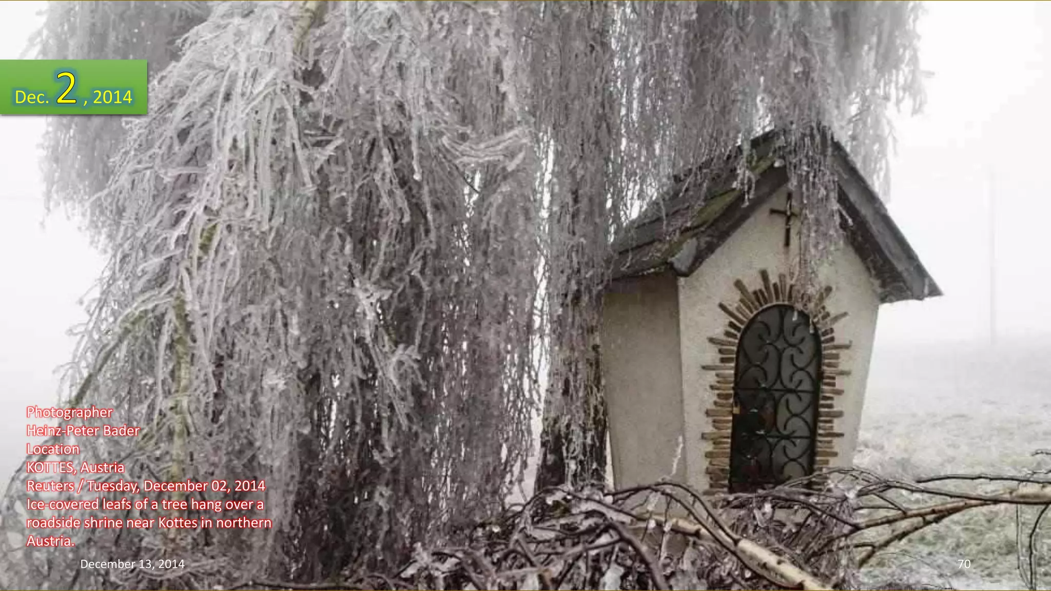 Dec. , 2014 
Photographer 
Heinz-Peter Bader 
Location 
KOTTES, Austria 
Reuters / Tuesday, December 02, 2014 
Ice-covered leafs of a tree hang over a 
roadside shrine near Kottes in northern 
Austria. 
December 13, 2014 70 
 