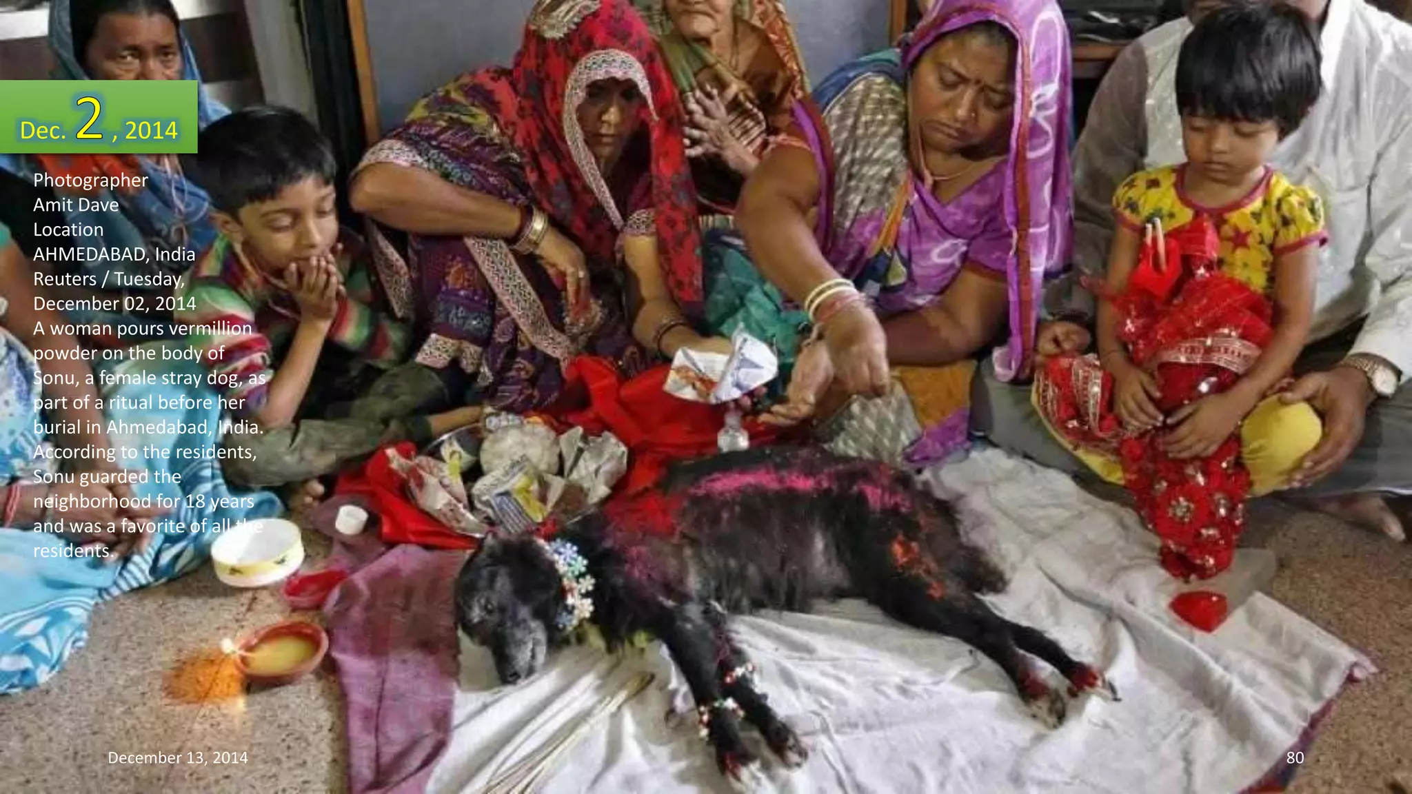 Dec. , 2014 
Photographer 
Amit Dave 
Location 
AHMEDABAD, India 
Reuters / Tuesday, 
December 02, 2014 
A woman pours vermillion 
powder on the body of 
Sonu, a female stray dog, as 
part of a ritual before her 
burial in Ahmedabad, India. 
According to the residents, 
Sonu guarded the 
neighborhood for 18 years 
and was a favorite of all the 
residents. 
December 13, 2014 80 
 