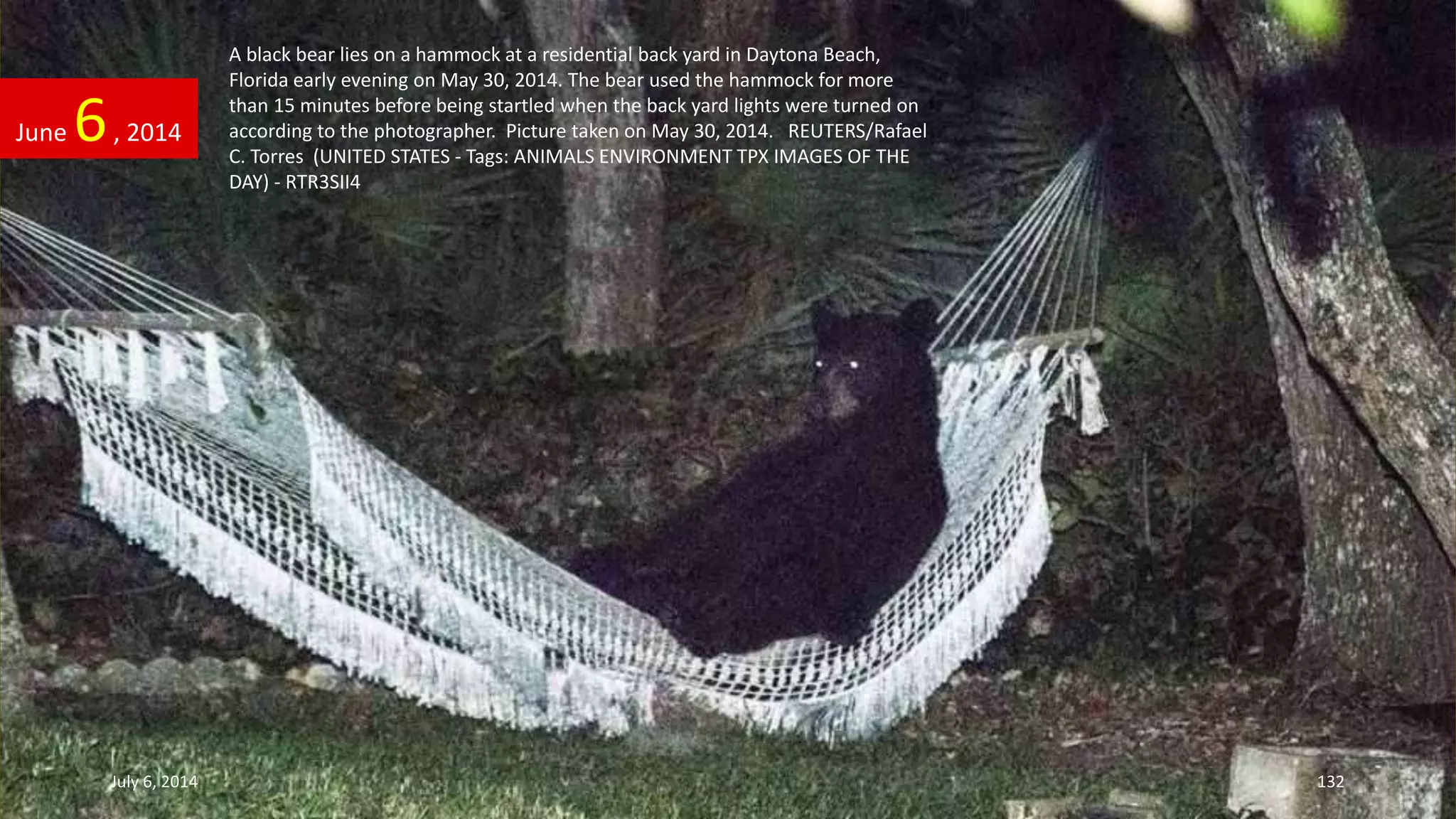 A black bear lies on a hammock at a residential back yard in Daytona Beach,
Florida early evening on May 30, 2014. The bear used the hammock for more
than 15 minutes before being startled when the back yard lights were turned on
according to the photographer. Picture taken on May 30, 2014. REUTERS/Rafael
C. Torres (UNITED STATES - Tags: ANIMALS ENVIRONMENT TPX IMAGES OF THE
DAY) - RTR3SII4
June 6, 2014
July 6, 2014 132
 