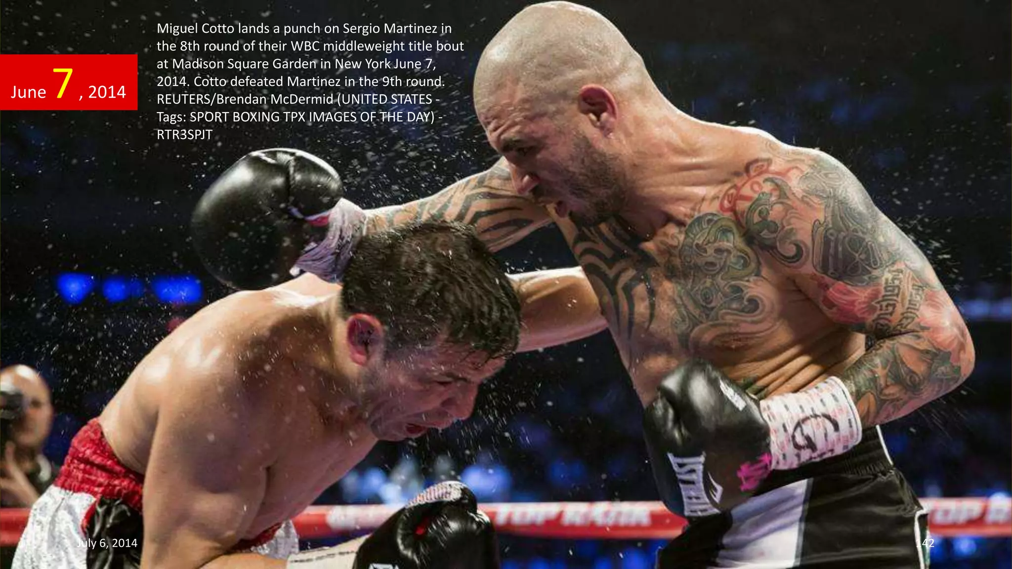 Miguel Cotto lands a punch on Sergio Martinez in
the 8th round of their WBC middleweight title bout
at Madison Square Garden in New York June 7,
2014. Cotto defeated Martinez in the 9th round.
REUTERS/Brendan McDermid (UNITED STATES -
Tags: SPORT BOXING TPX IMAGES OF THE DAY) -
RTR3SPJT
June 7, 2014
July 6, 2014 142
 