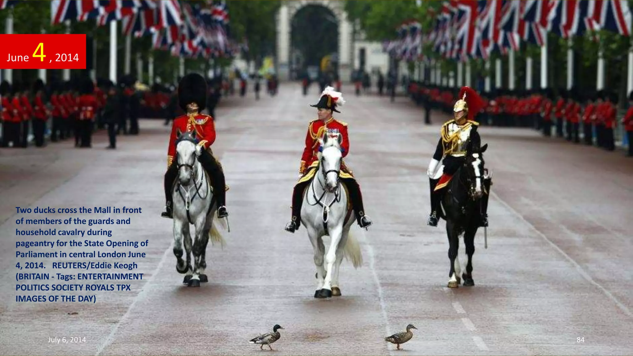 Two ducks cross the Mall in front
of members of the guards and
household cavalry during
pageantry for the State Opening of
Parliament in central London June
4, 2014. REUTERS/Eddie Keogh
(BRITAIN - Tags: ENTERTAINMENT
POLITICS SOCIETY ROYALS TPX
IMAGES OF THE DAY)
June 4, 2014
July 6, 2014 84
 