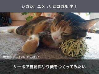 我が家のネコ、「ちくわ」です。よろしく。
シカシ、ユメ ハ ヒロガル ネ！
サーボで自動 やり機をつくってみたい
 