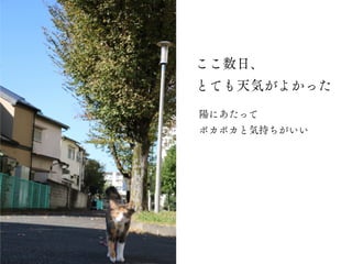 ここ数日、
とても天気がよかった
陽にあたって
ポカポカと気持ちがいい
 