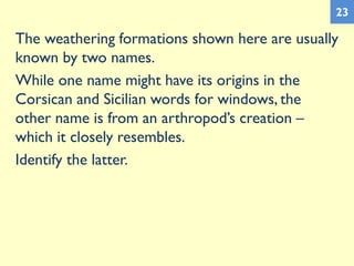 The weathering formations shown here are usually
known by two names.
While one name might have its origins in the
Corsican and Sicilian words for windows, the
other name is from an arthropod’s creation –
which it closely resembles.
Identify the latter.
23
 