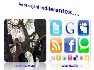 Terrence Malik Web Social
 