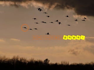 따

라

가

지

만

말

고

9

 