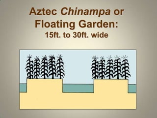 MesoAmerican Civilizations Notes | PPT
