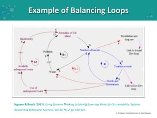Example of Balancing Loops 
Nguyen & Bosch (2013). Using Systems Thinking to Identify Leverage Points for Sustainability. ...