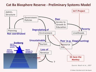 Systemic Intervention Model Module 4 Leverage points and systemic interventions | PPTX
