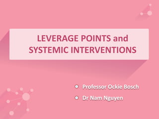 LEVERAGE POINTS and 
SYSTEMIC INTERVENTIONS 
Professor Ockie Bosch 
Dr Nam Nguyen 
 