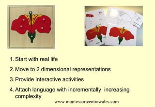 1. Start with real life
2. Move to 2 dimensional representations
3. Provide interactive activities
4. Attach language with incrementally increasing
complexity
www.montessoricentrewales.com

 