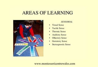 www.montessoricentrewales.com

 
